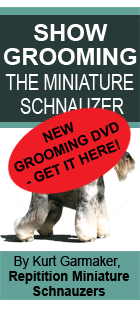 Learn how to groom the Miniature Schnauzer!