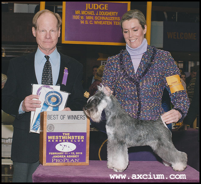 Axcium's In It To Win It