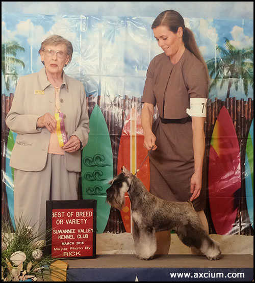 Axcium's Off The Wall