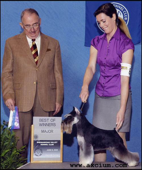 Axcium's Rise & Shine