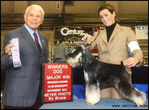 Axcium's Sgt. Pepper