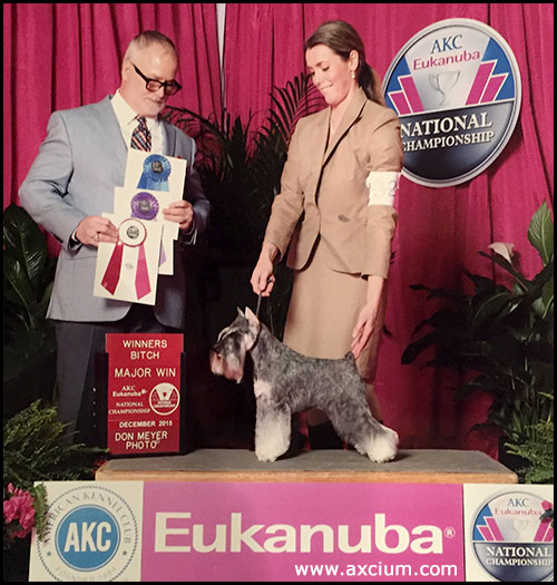 Axcium's Smartass Sassypants