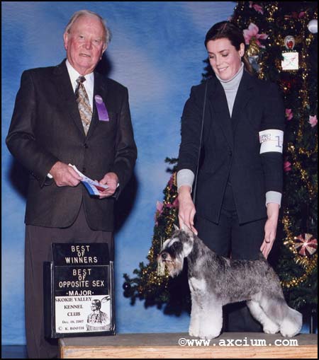 Ch Axcium's Million Dollar Baby