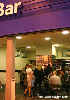 Miniature Schnauzer Crufts 2007