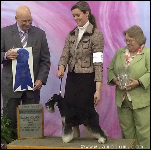 Axcium Mac Link's Sherlock Holmes winning Group 1