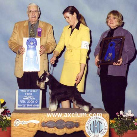 Group 1 with Ch Hardinhaus Rythem & Rhymes