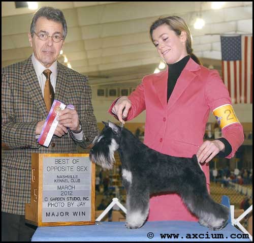 Ch Axcium's Born To Be Wild