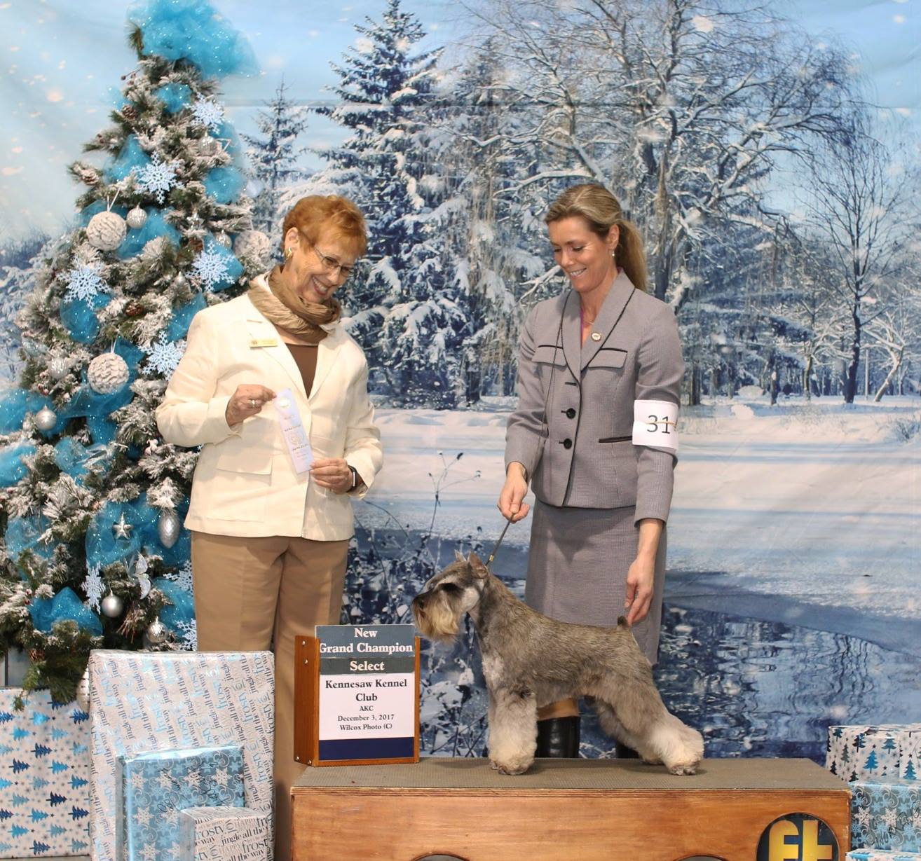 >New Grand Champion Axcium's Son of Anarchy, December 2017