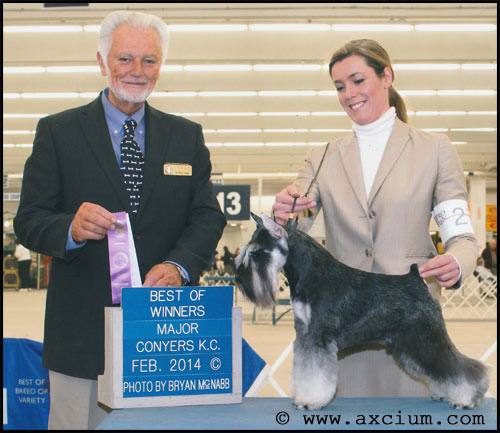 Axcium Mac Link's Alive N Kicking