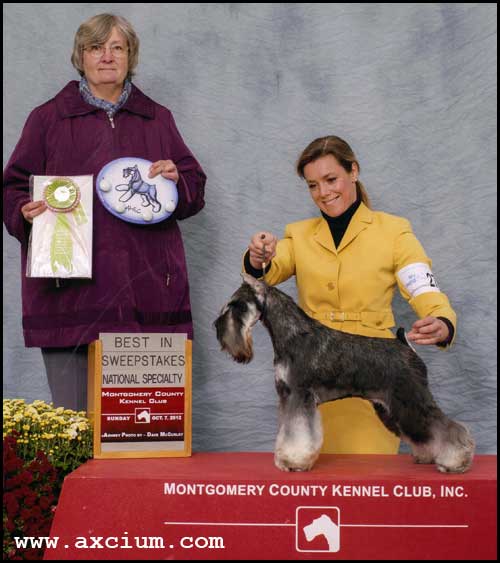 Ch Axcium's Louie Louie