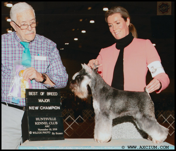 CH Cheantake No Mercy At Axcium