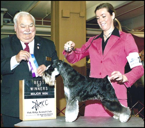 CH Axcium's Nolo Contendere