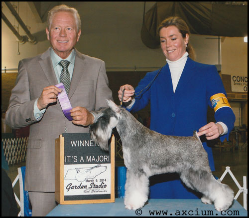 Axcium's Learning To Love