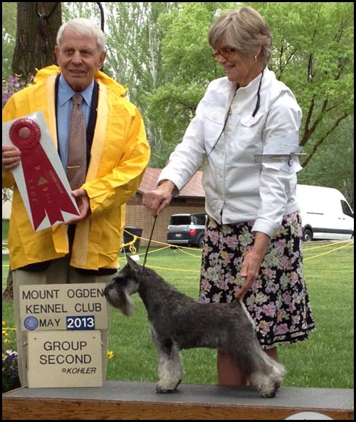 Ch Axcium's Summer Love at Carmel