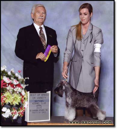 Ch Axcium's Sweet Polly Purebread