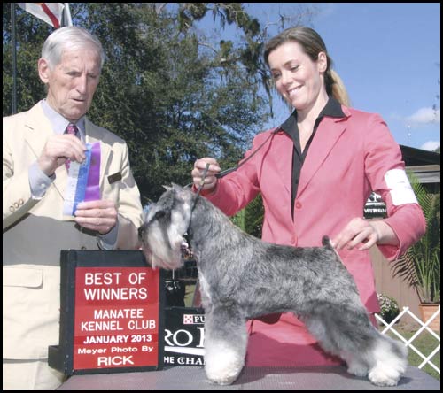 Ch Axcium's Ty The Terrible