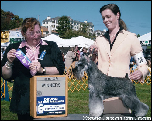 Cheantake Axcium Extravaganza