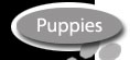 Puppies