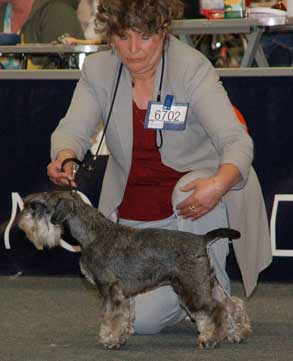 Intermediate class winner