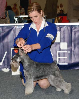 Champion class winner