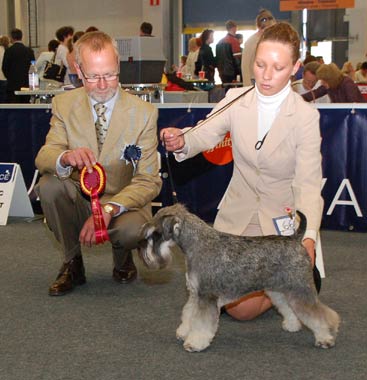 Best of Breed and European Winner 2006