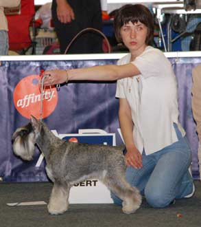 Winner of Open class