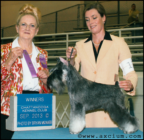 Ch Auximum Federico Fellini for Axcium