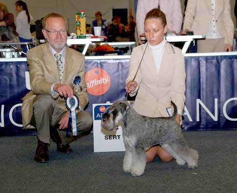 Best miniature schnauzer male