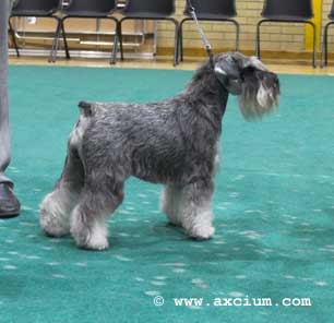 post graduate winner