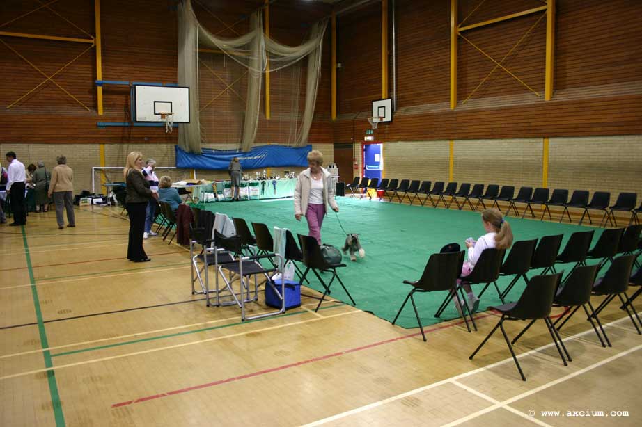 practice in the ring