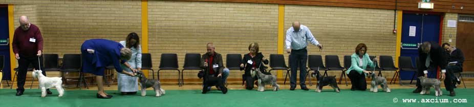 post graduate judging