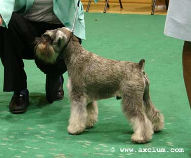 post graduate winner