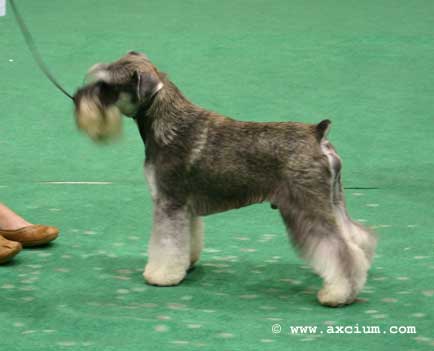 post graduate second