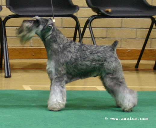 winner of limit class