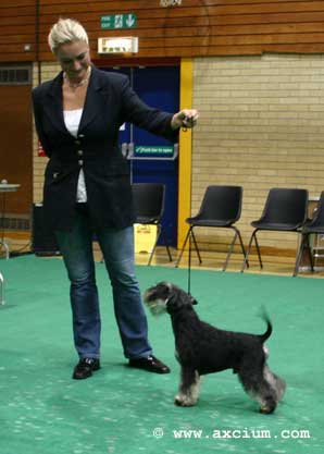 very happy long tail