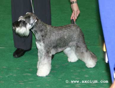 post graduate winner