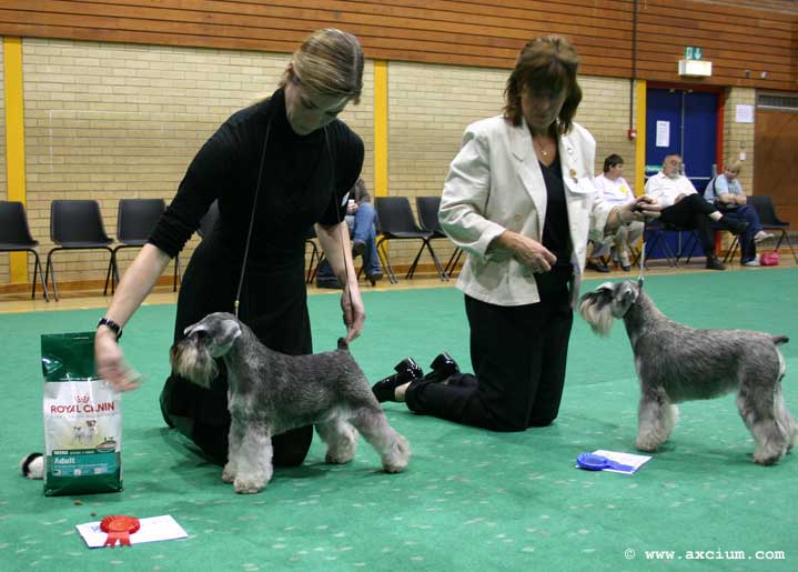 open winner and second