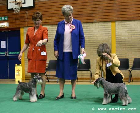 cc and reserve cc winner