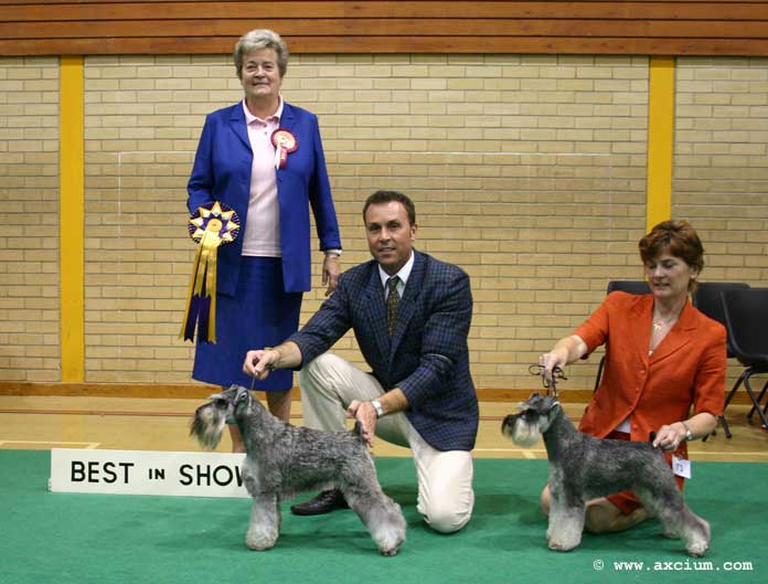 best in show